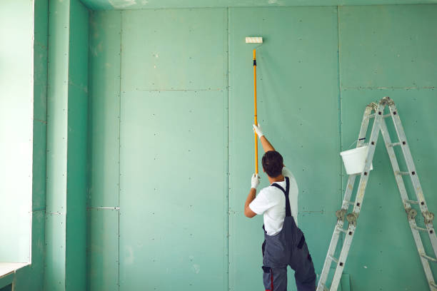 Best Mold Prevention Services  in Canton, MO
