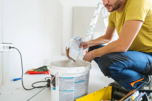Best Mold Damage Restoration  in Canton, MO