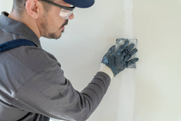Best Basement Mold Removal  in Canton, MO