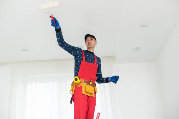 Best Commercial Mold Inspection  in Canton, MO